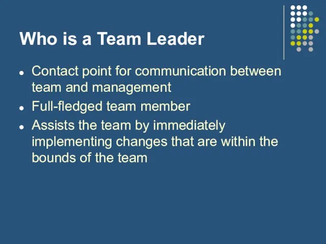 Who is a Team Leader Contact point for communication between team and