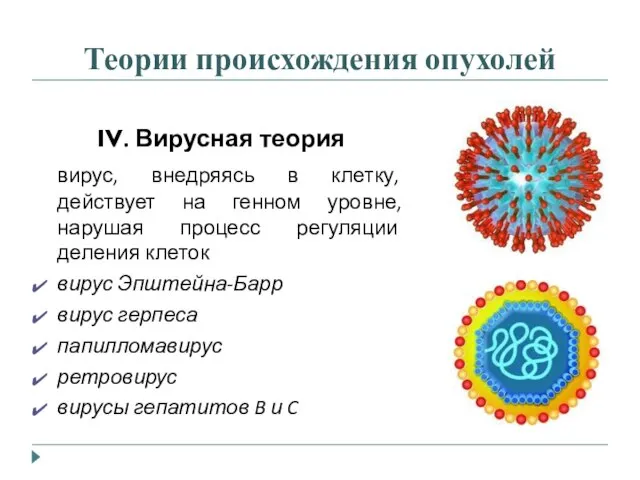 Теории происхождения опухолей IV. Вирусная теория вирус, внедряясь в клетку, действует на