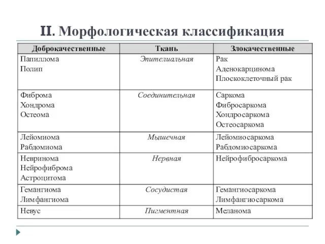 II. Морфологическая классификация