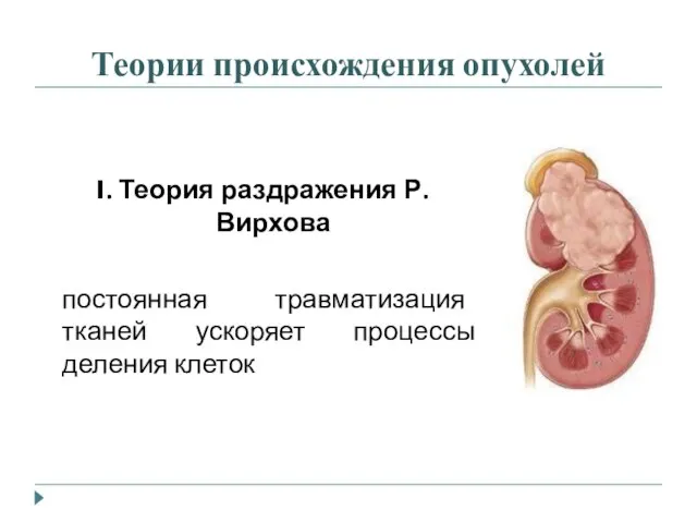 Теории происхождения опухолей I. Теория раздражения Р. Вирхова постоянная травматизация тканей ускоряет процессы деления клеток