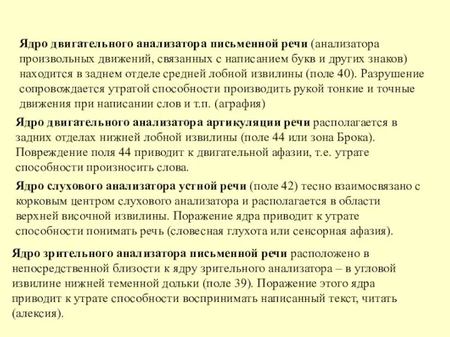 Ядро двигательного анализатора письменной речи (анализатора произвольных движений, связанных с написанием букв