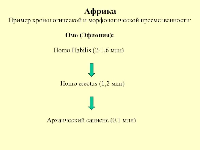 Омо (Эфиопия): Homo Habilis (2-1,6 млн) Homo erectus (1,2 млн) Архаический сапиенс