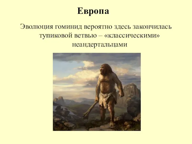 Европа Эволюция гоминид вероятно здесь закончилась тупиковой ветвью – «классическими» неандертальцами