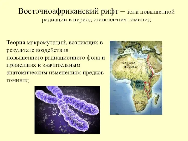 Восточноафриканский рифт – зона повышенной радиации в период становления гоминид Теория макромутаций,
