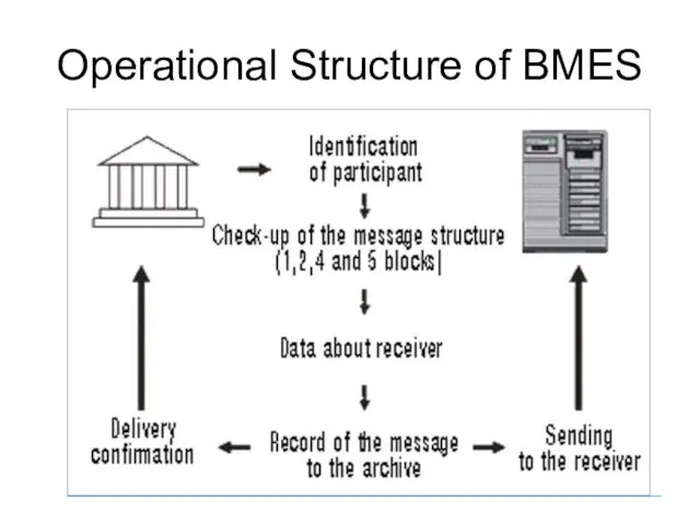 Operational Structure of BMES