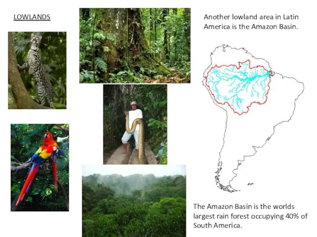 Another lowland area in Latin America is the Amazon Basin. LOWLANDS The