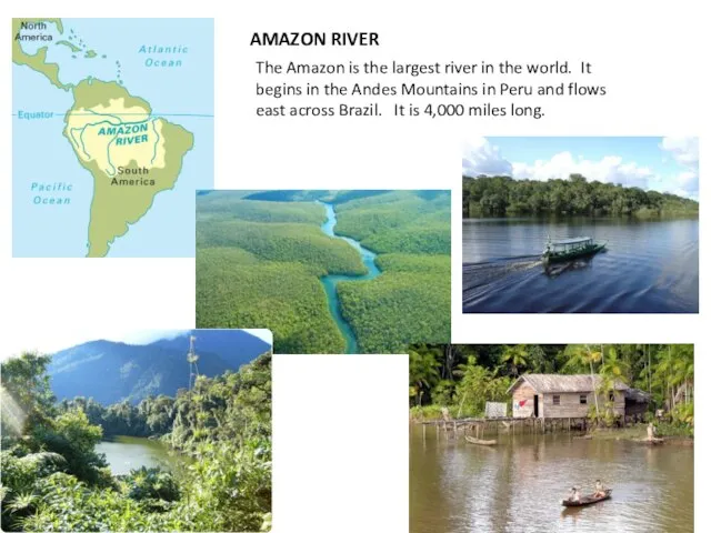 AMAZON RIVER The Amazon is the largest river in the world. It