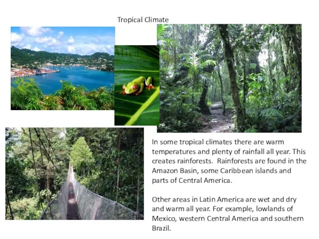 Tropical Climate In some tropical climates there are warm temperatures and plenty