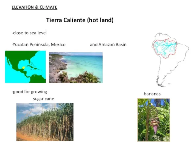 ELEVATION & CLIMATE Tierra Caliente (hot land) -close to sea level -Yucatan