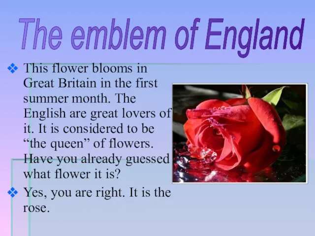 The emblem of England This flower blooms in Great Britain in the