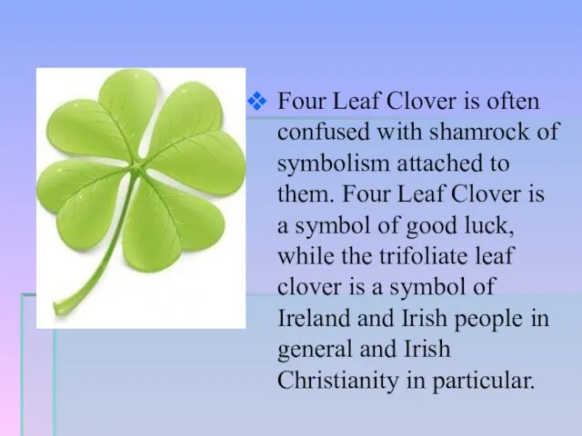 Four Leaf Clover is often confused with shamrock of symbolism attached to