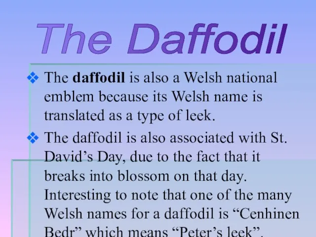 The daffodil is also a Welsh national emblem because its Welsh name