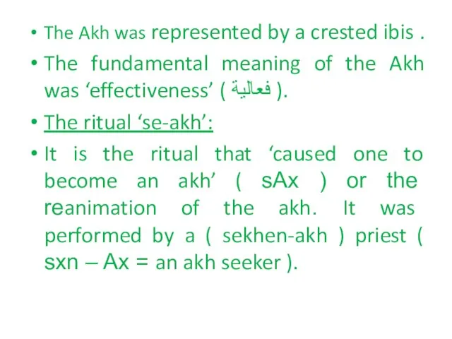 The Akh was represented by a crested ibis . The fundamental meaning