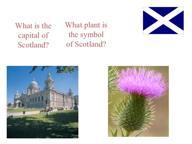 What is the capital of Scotland? What plant is the symbol of Scotland?