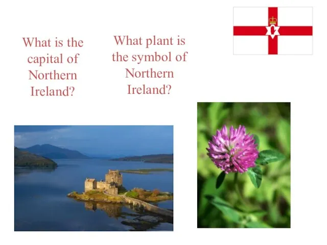 What is the capital of Northern Ireland? What plant is the symbol of Northern Ireland?