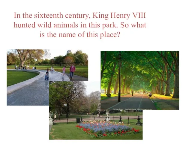 In the sixteenth century, King Henry VIII hunted wild animals in this