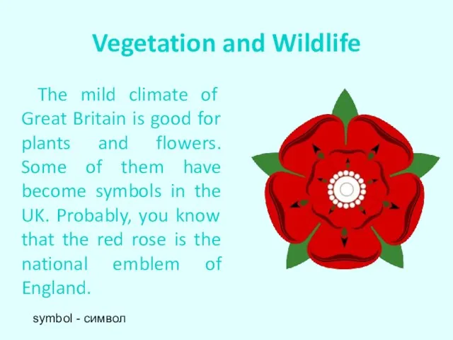 Vegetation and Wildlife The mild climate of Great Britain is good for