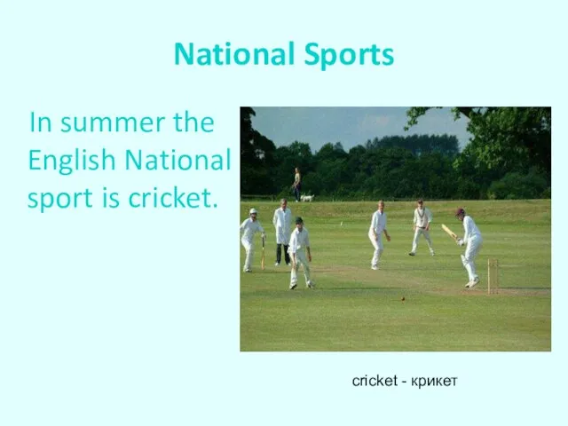 National Sports In summer the English National sport is cricket. cricket - крикет