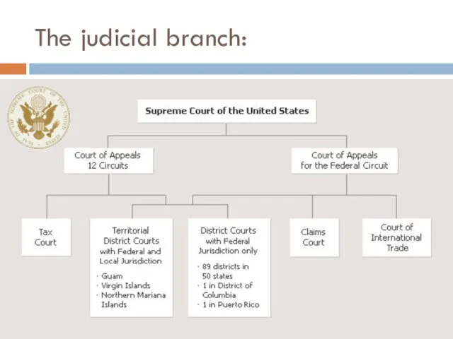 The judicial branch: