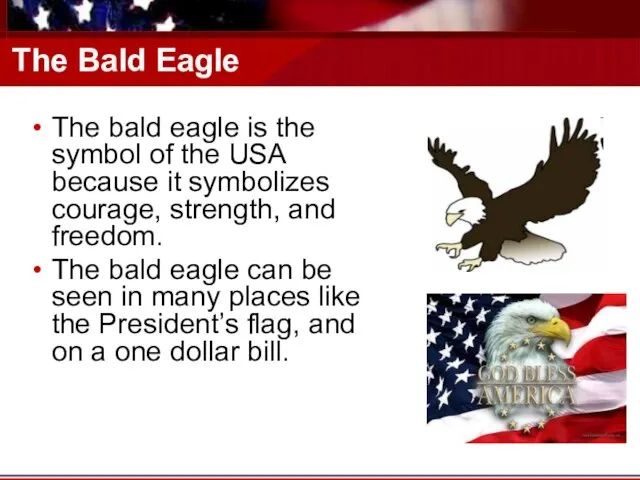 The Bald Eagle The bald eagle is the symbol of the USA