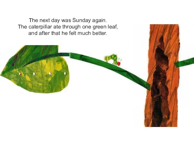 The next day was Sunday again. The caterpillar ate through one green