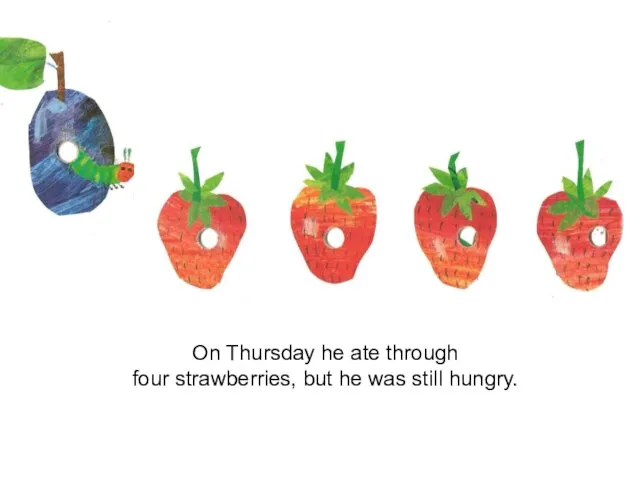 On Thursday he ate through four strawberries, but he was still hungry.
