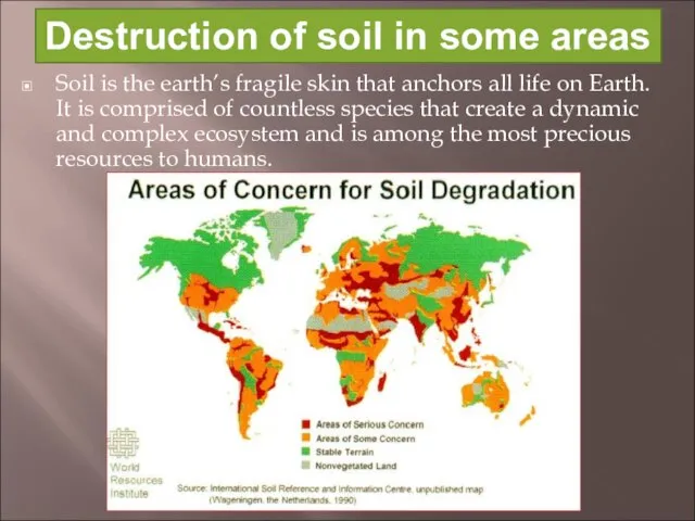 Soil is the earth’s fragile skin that anchors all life on Earth.