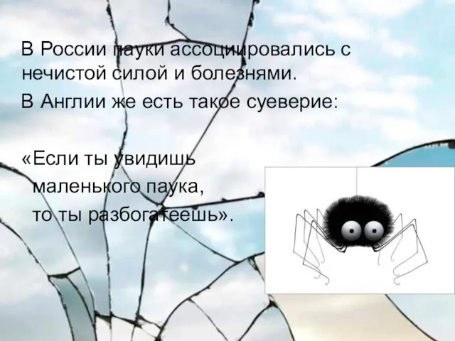 В России пауки ассоциировались с нечистой силой и болезнями. В Англии же