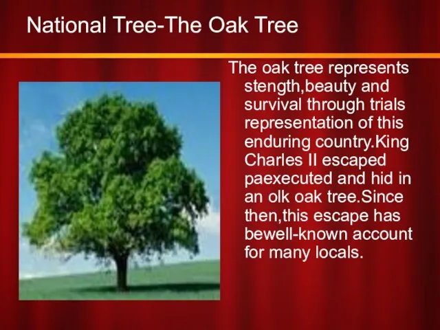 National Tree-The Oak Tree The oak tree represents stength,beauty and survival through