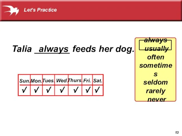 Talia _______ feeds her dog. Sun. Mon. Tues. Wed. Thurs. Fri. Sat.