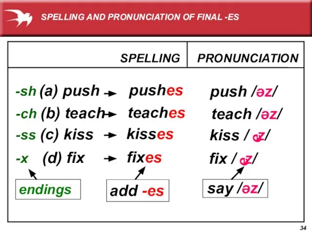 -sh SPELLING (a) push PRONUNCIATION pushes push /əz/ -ch (b) teach teaches