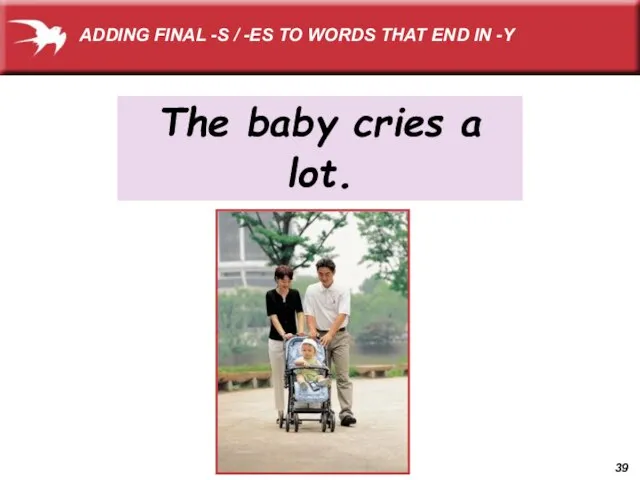 The baby cries a lot. ADDING FINAL -S / -ES TO WORDS THAT END IN -Y