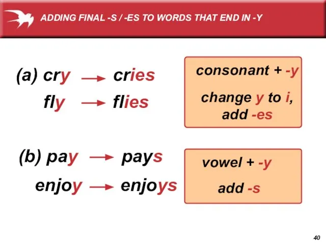 (a) cry cries fly flies (b) pay pays enjoy enjoys consonant +