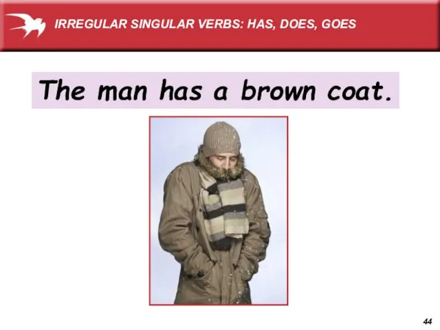 The man has a brown coat. IRREGULAR SINGULAR VERBS: HAS, DOES, GOES