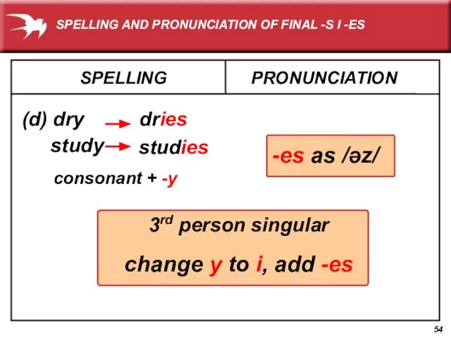 3rd person singular change y to i, add -es SPELLING (d) dry