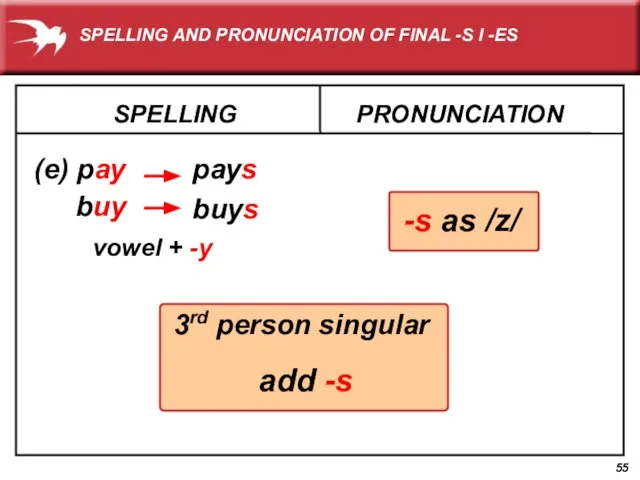 SPELLING (e) pay PRONUNCIATION pays buy buys 3rd person singular add -s