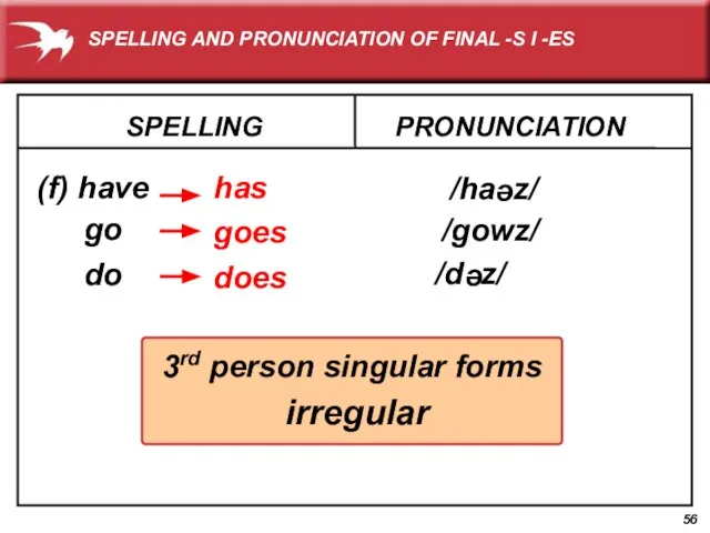 SPELLING (f) have PRONUNCIATION has go goes /ha z/ do does e