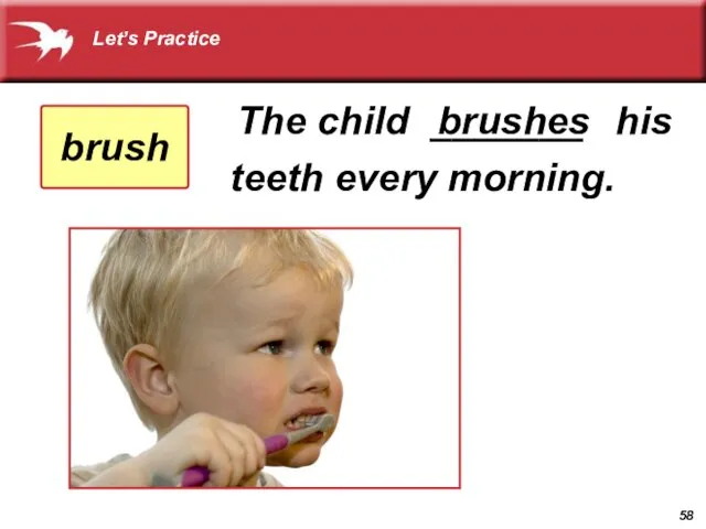 The child _______ his teeth every morning. brushes brush Let’s Practice