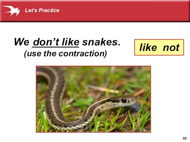 We ________ snakes. don’t like (use the contraction) like not Let’s Practice