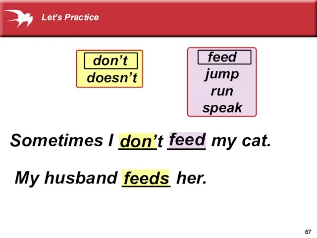 feed don’t feeds don’t doesn’t feed jump run speak Sometimes I ____