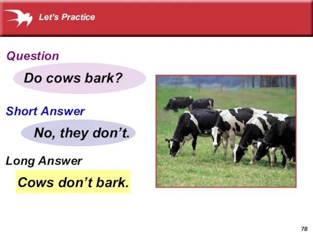 Cows don’t bark. Do cows bark? No, they don’t. Let’s Practice Question Short Answer Long Answer