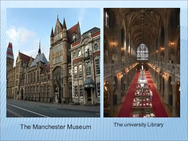 The Manchester Museum The university Library