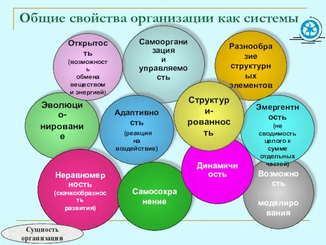 Общие свойства организации как системы Самоорганизация и управляемость Возможность моделирования Адаптивность (реакция