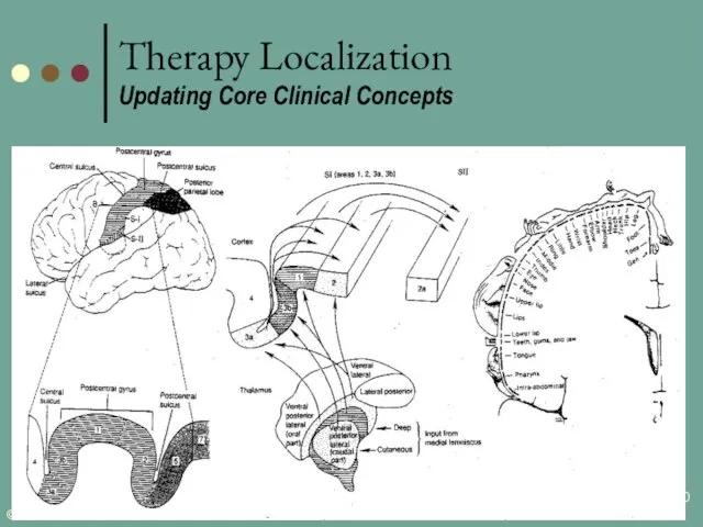 Therapy Localization Updating Core Clinical Concepts