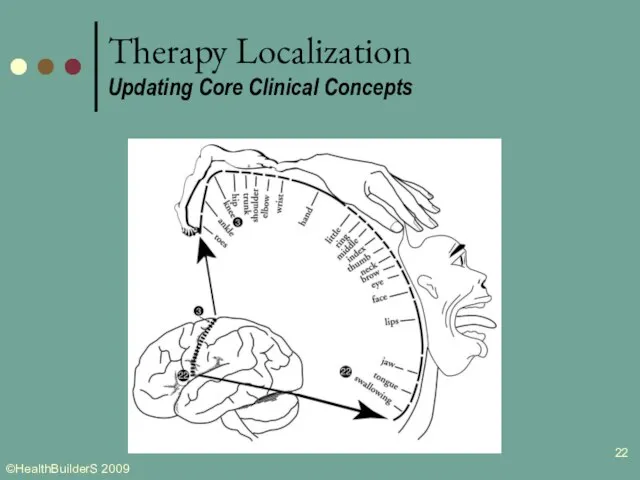 Therapy Localization Updating Core Clinical Concepts