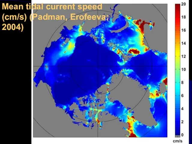 Mean tidal current speed (cm/s) (Padman, Erofeeva; 2004)