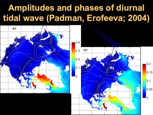 Amplitudes and phases of diurnal tidal wave (Padman, Erofeeva; 2004)