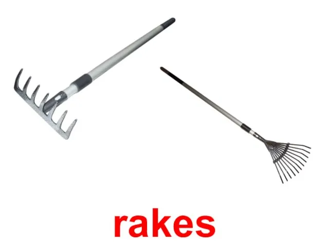 rakes