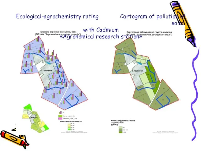 Ecological-agrochemistry rating Cartogram of pollution of soils with Cadmium «Agronomical research station»