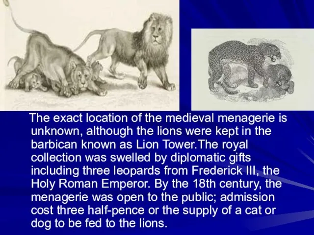 The exact location of the medieval menagerie is unknown, although the lions